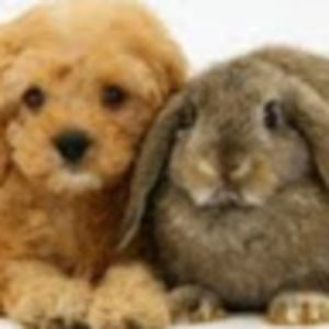 Meet your Posher, Ana